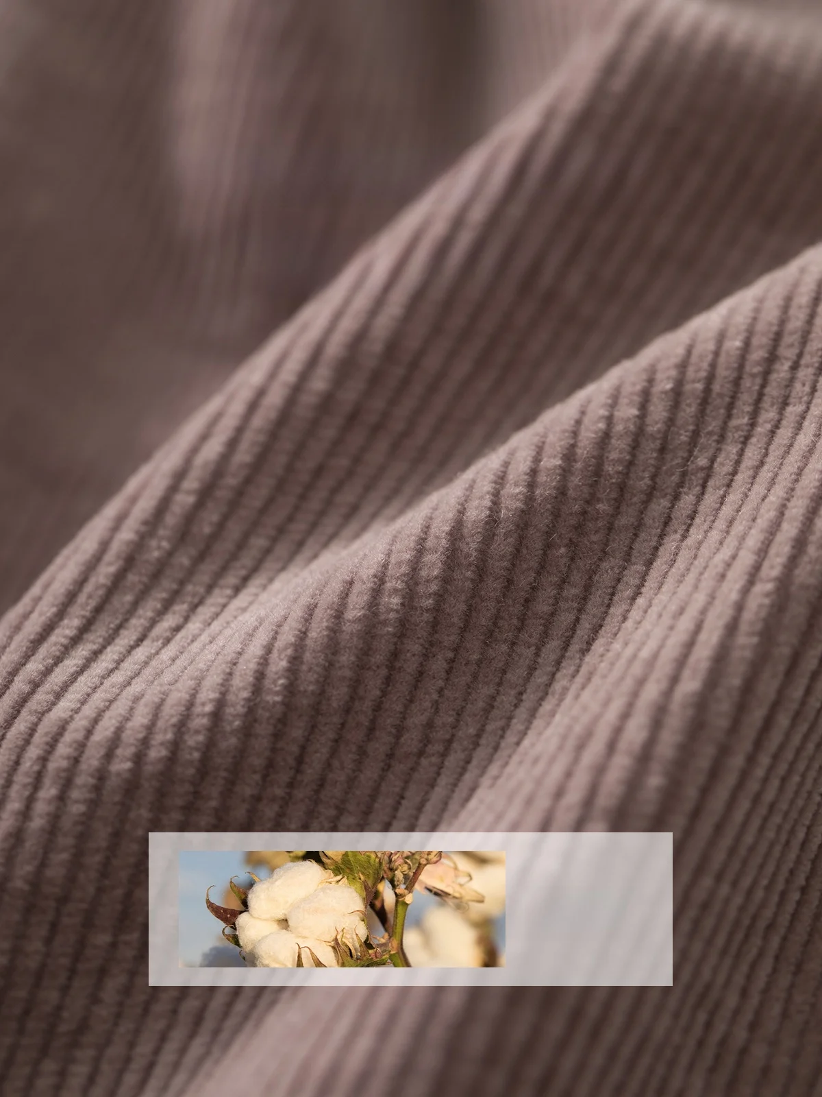 Pumpkin Valley [Комплект Вінстон] Эластичный длинноволокнистый хлопковый вельветовый