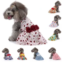 2022 new dog dress princess spring summer pet clothing strawberry dress pomeranian yorkshire corgi teddy puppy skirt pet clothes