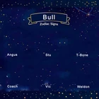 Карта с принтом бычьих пород, животных, NFC, NTAG215, печатные карты для игр