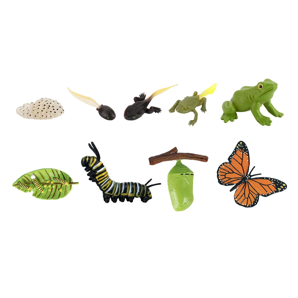 Модель цикла роста жизни животных игрушки-фигурки бабочка-лягушка модель