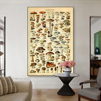 mushling identification poster prints canvas wall botanical fine art champignons mycology picture for kitchen room home decor