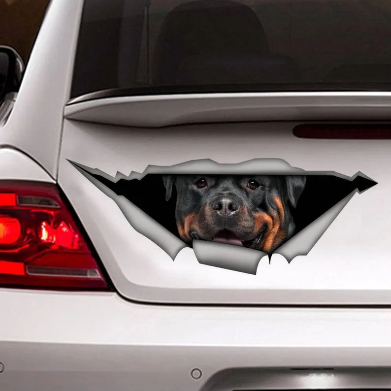 

DECAL. Rottweiler car decal, Vinyl decal, car decoration, rottweiler sticker