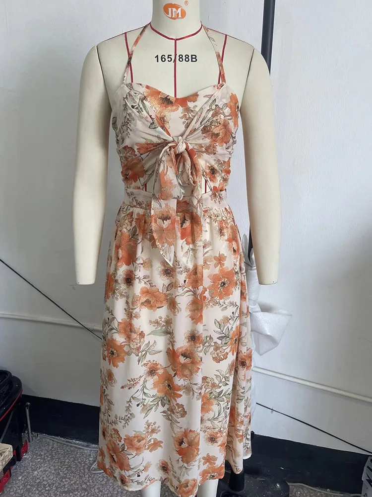 

DYLQFS Women Printed Lace Up Dress 2022 Summer New Sexy Backless Casual Beach Sun Dress Ladies Chiffon Halter Long Dress