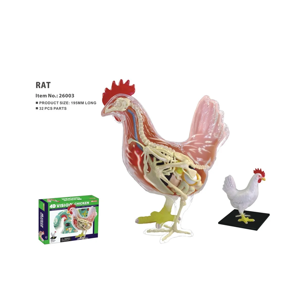 

Red and White Chicken 4D Master Puzzle Assembling Toy Animal Biology Organ Anatomical Teaching Model Anatomy