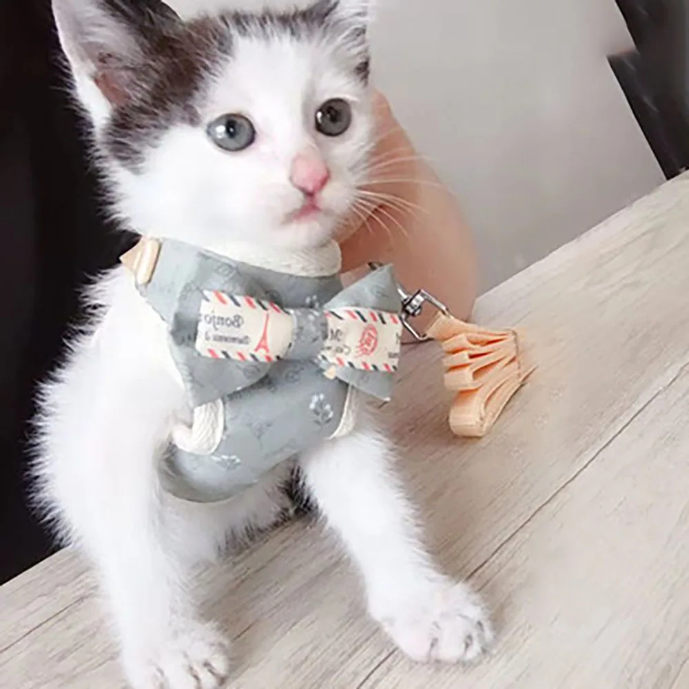 

Cat Accessories Cat Collar Dogs Leash Dog Collars Tag Cloth S M L XL Size