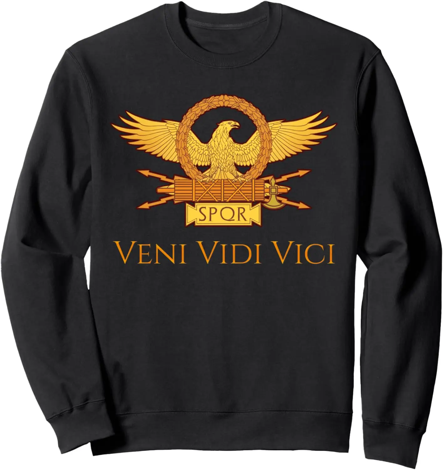 Толстовка Julius Caesar Latin Quote Veni Vidi Vici SPQR Roman Eagle