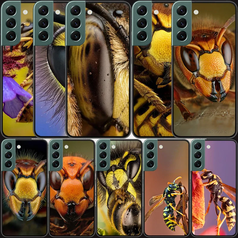 

Killer wasp wasp population Phone For Samsung Galaxy A51 A71 5G A10S A20E A20S A30 A40 A50 A70 A50S A70S A21S A31 A41 A01 A11 A9