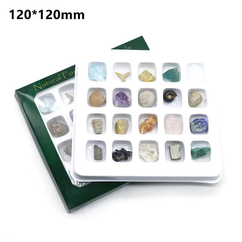 20pcs Natural Crystal Gemstone Polished Healing Chakra Stone Raw Ore Crystals Samples Teaching Materials Home Decoration |