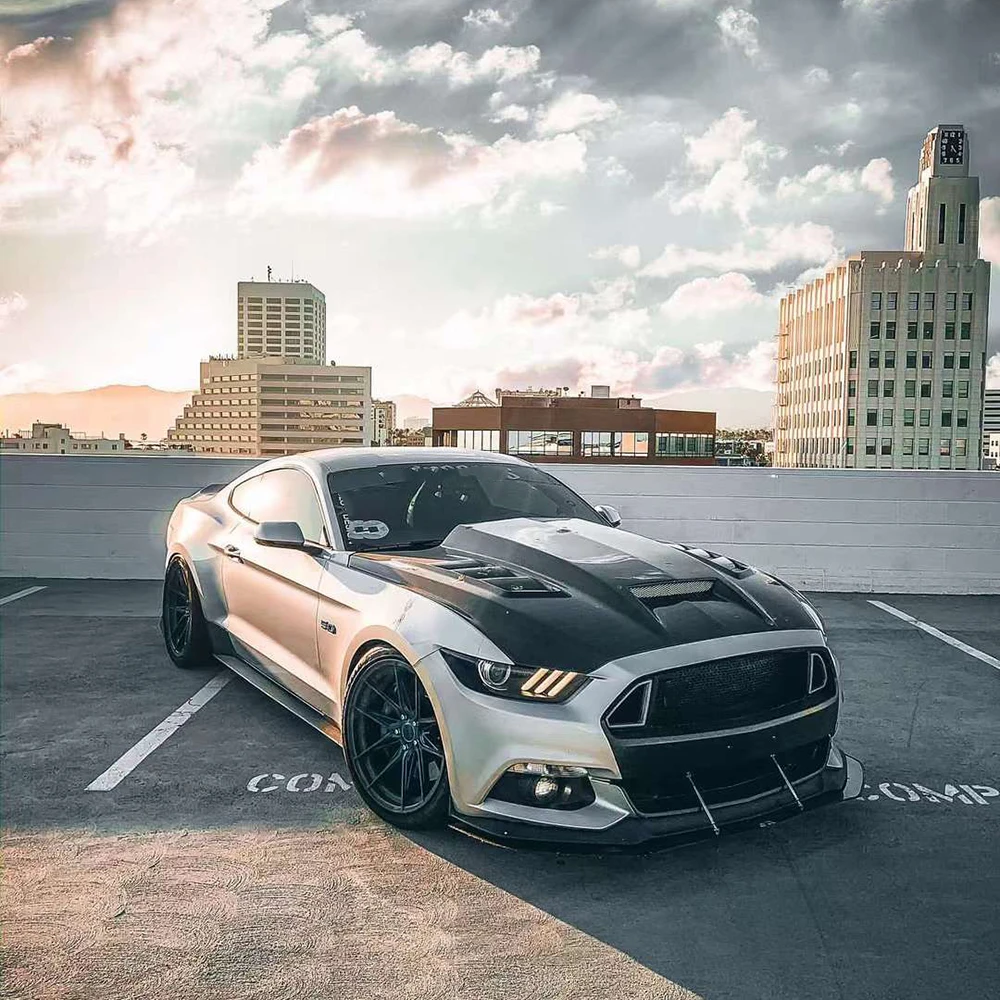 Лидер продаж модифицированное углеродное волокно для Ford Mustang 2015-2017 передние