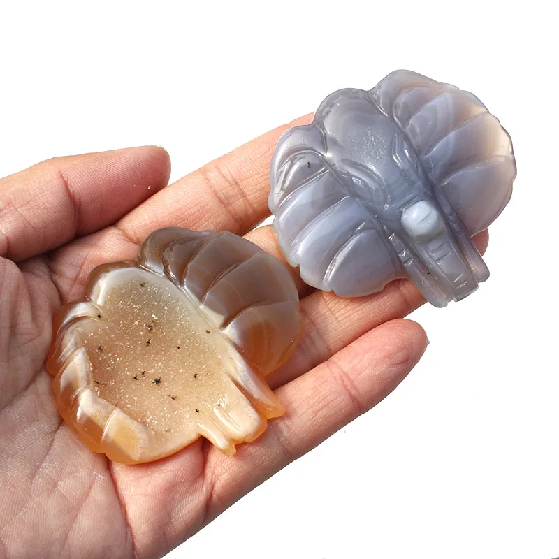 

1 Pcs Natural Agate Geode Crystal Stone Elephant Head For Fengshui