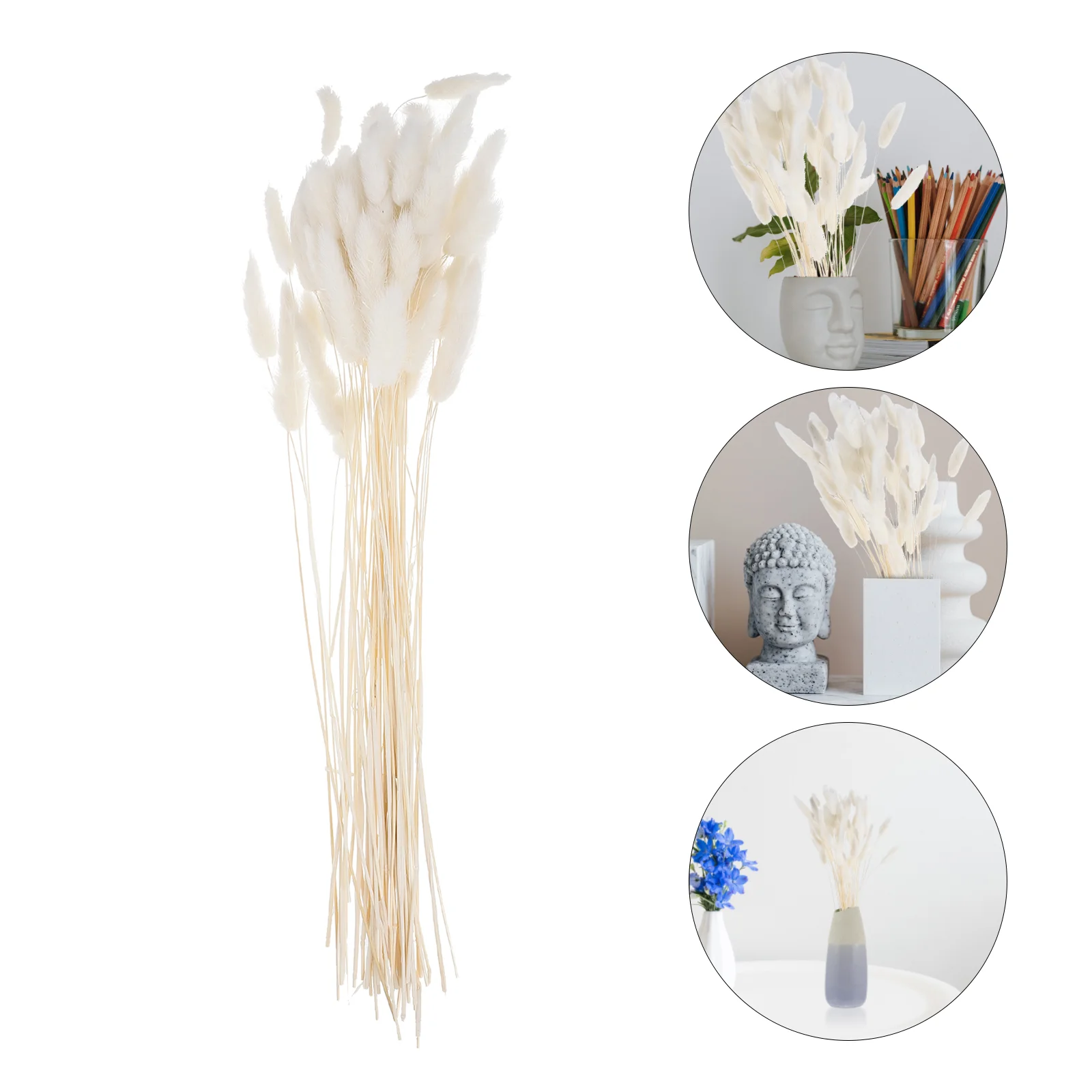 

1 Bunch/60 Pcs Wedding Decoration Dried Grass Rabbit Tail Hay Natural Plants Dried Flowers for Photography Flower Arrangement