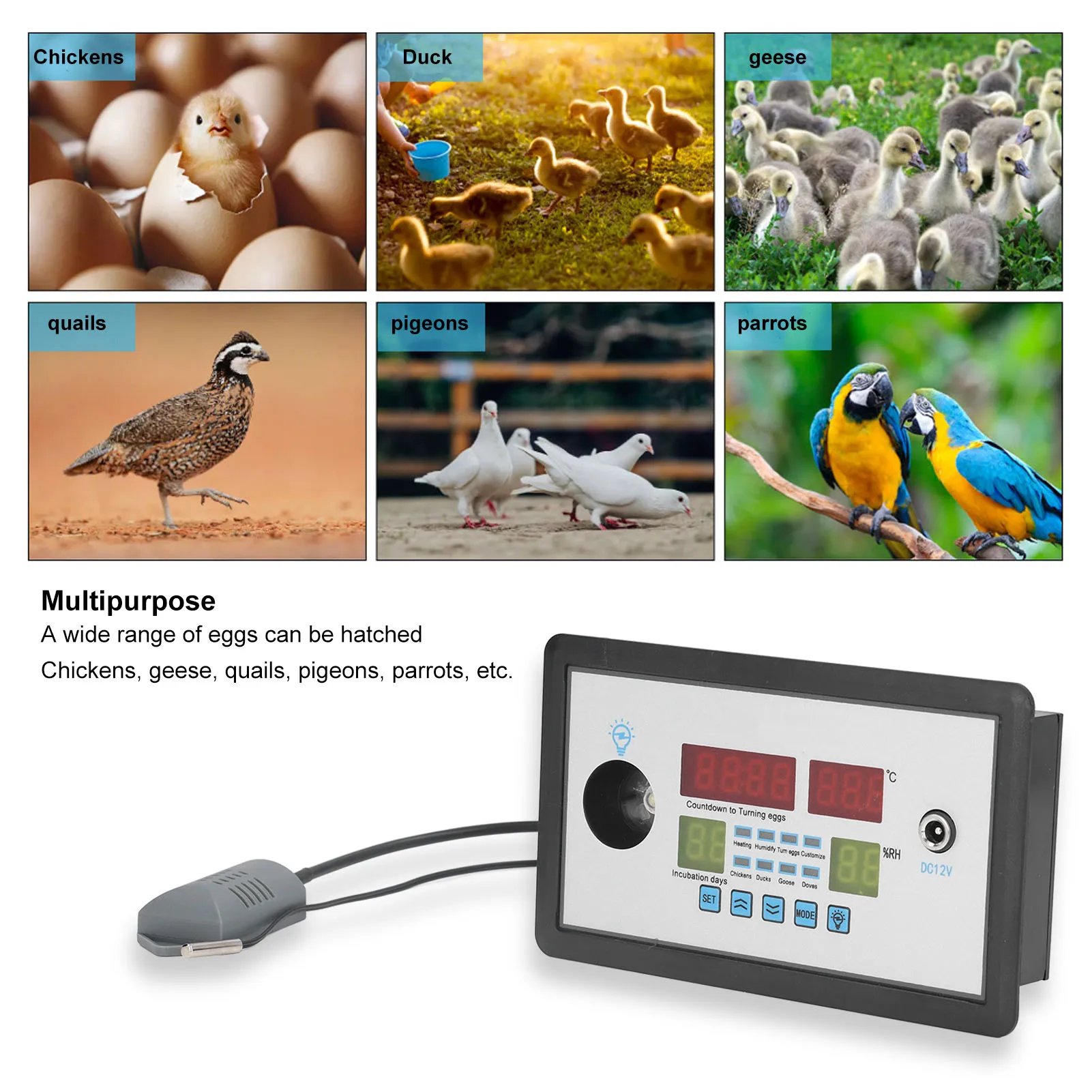 Умный инкубатор. Intelligent incubator thermostat схема подключения. Intelligent incubator thermostat таблица параметров. Household Intelligent incubator устройство. Household intelligent incubator инструкция. Умный инкубатор. Intelligent incubator thermostat схема подключения. Intelligent incubator thermostat таблица параметров. Household Intelligent incubator устройство.