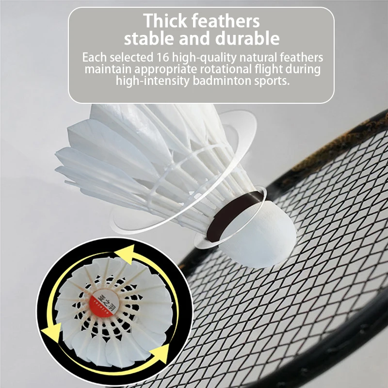 Рисунок 2 - High-End Соревнование по бадминтону