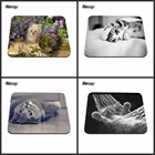 Лидер продаж, красивые цветы и кошки для сна, персонализированный игровой коврик для мыши, компьютерный блокнот с животными, прямоугольный резиновый коврик