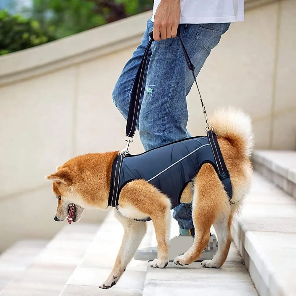 

Pet Supporting Belt Elastic Comfortable Non-Fall Adjustable Reusable Assisted Walking Easy-Wearing Elastic Pet Leg Supporting Be