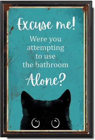 Металлический жестяной знак, настенный арт-знак, надпись «Я говорю о чёрной кошке» в стиле бохо, украшения для дома, для ресторана