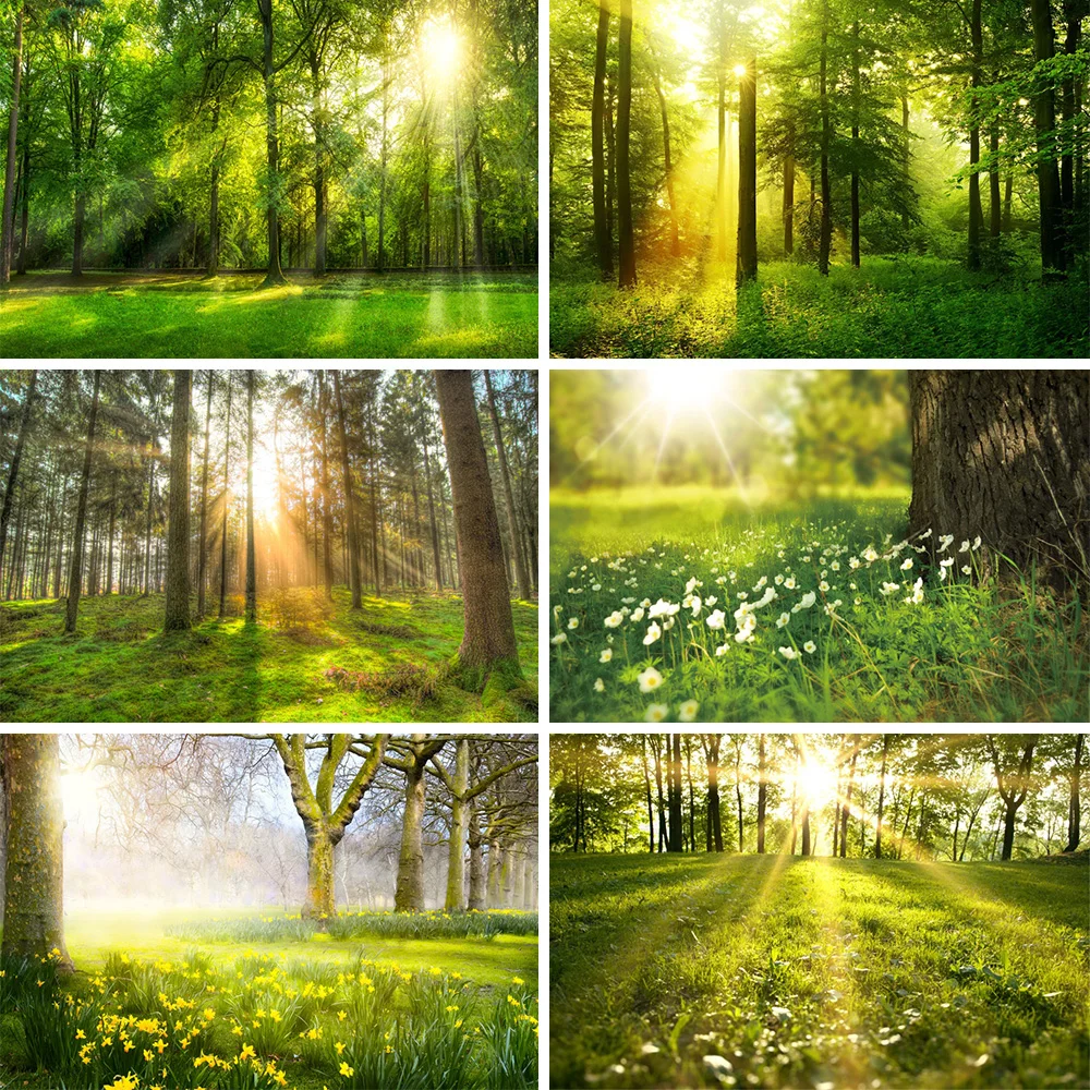 

Laeacco Spring Jungle Forest Backdrop For Photography Dreamy Sunlight Garden Adult Holiday Party Portrait Photo Background