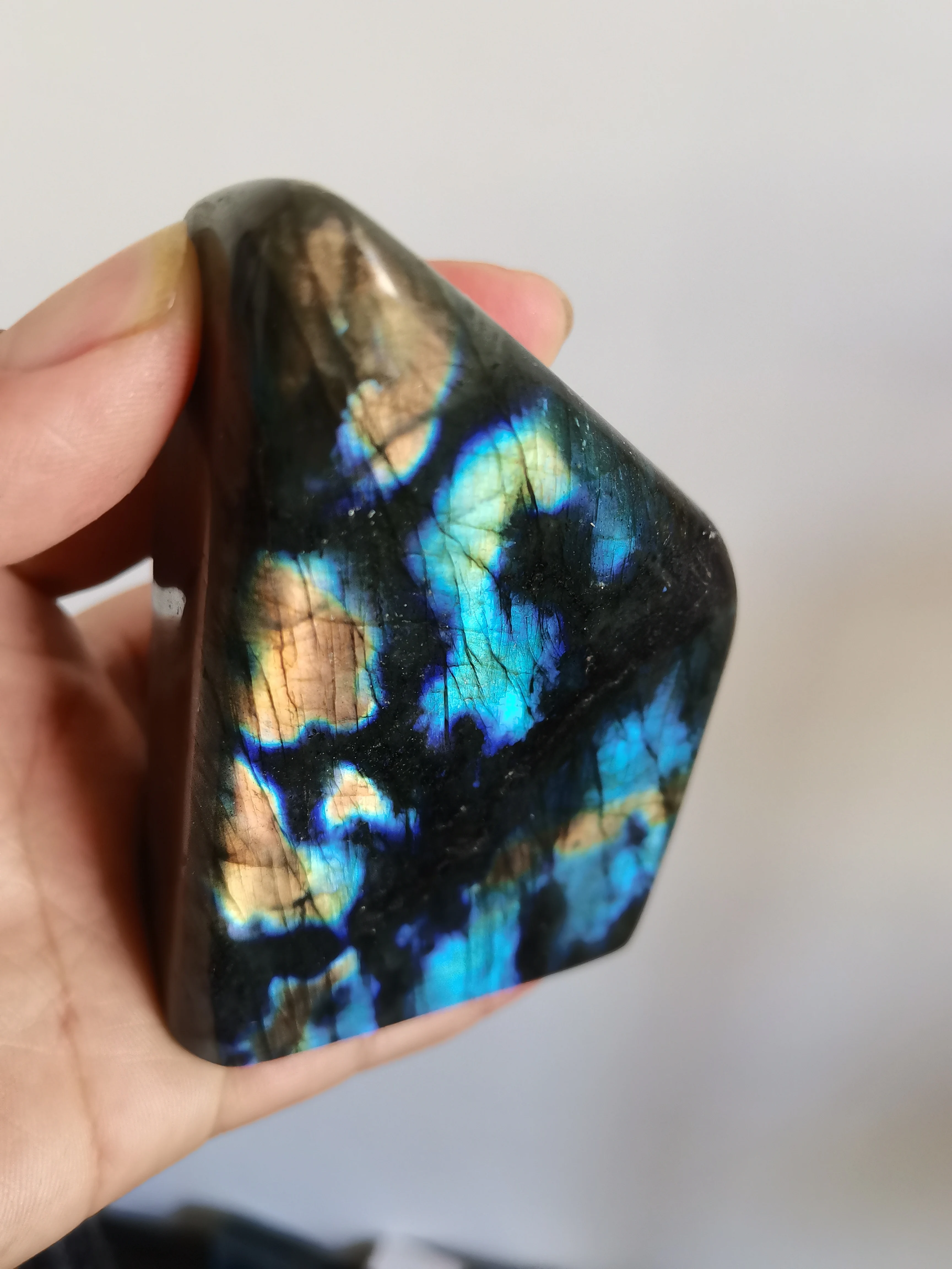 

Синий лабрадор, кристалл