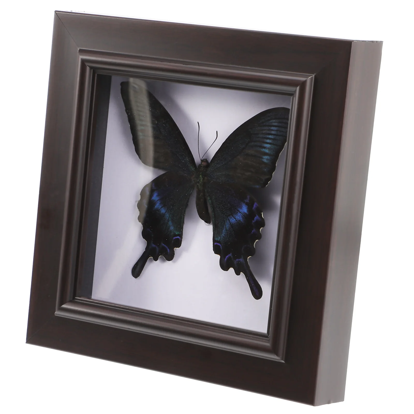 

House Decorations For Home Showcase Wall Hanging Picture Frame DIY Display Household Ornament Plastic Specimen Pendant Office