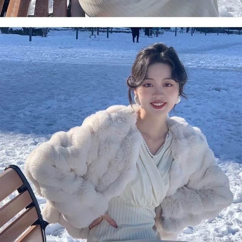 New Winter Coat for Women Faux Fur Coat New Korean Fashion Eco-friendly Fur Jackets Loose Short Tops Warm