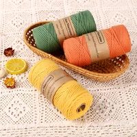 3mm 100 cotton single strand macrame cord colorful cotton macrame rope for wall hanging home decoration gift tapestry art
