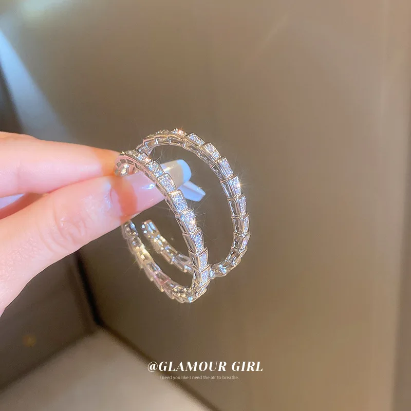 

Silver Needle Zircon Snake Bone Earrings, Korean Ins Cool Wind Tiktok, The Same High-quality Earrings