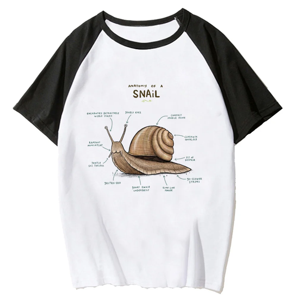 

snail