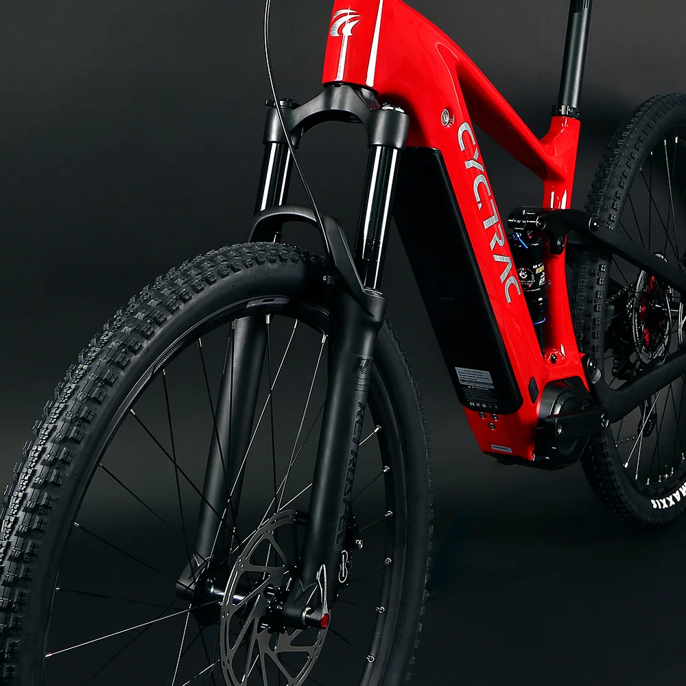 Рисунок 2 - TWITETR EM10Bafang M510-48V15a250W