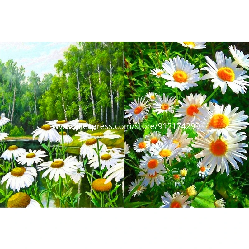 ROAMILY, алмазная живопись, пейзаж, красивая, полноразмерная Алмазная вышивка «сделай сам», цветы, природа, хризантема, мозаика, Новое поступление для дома