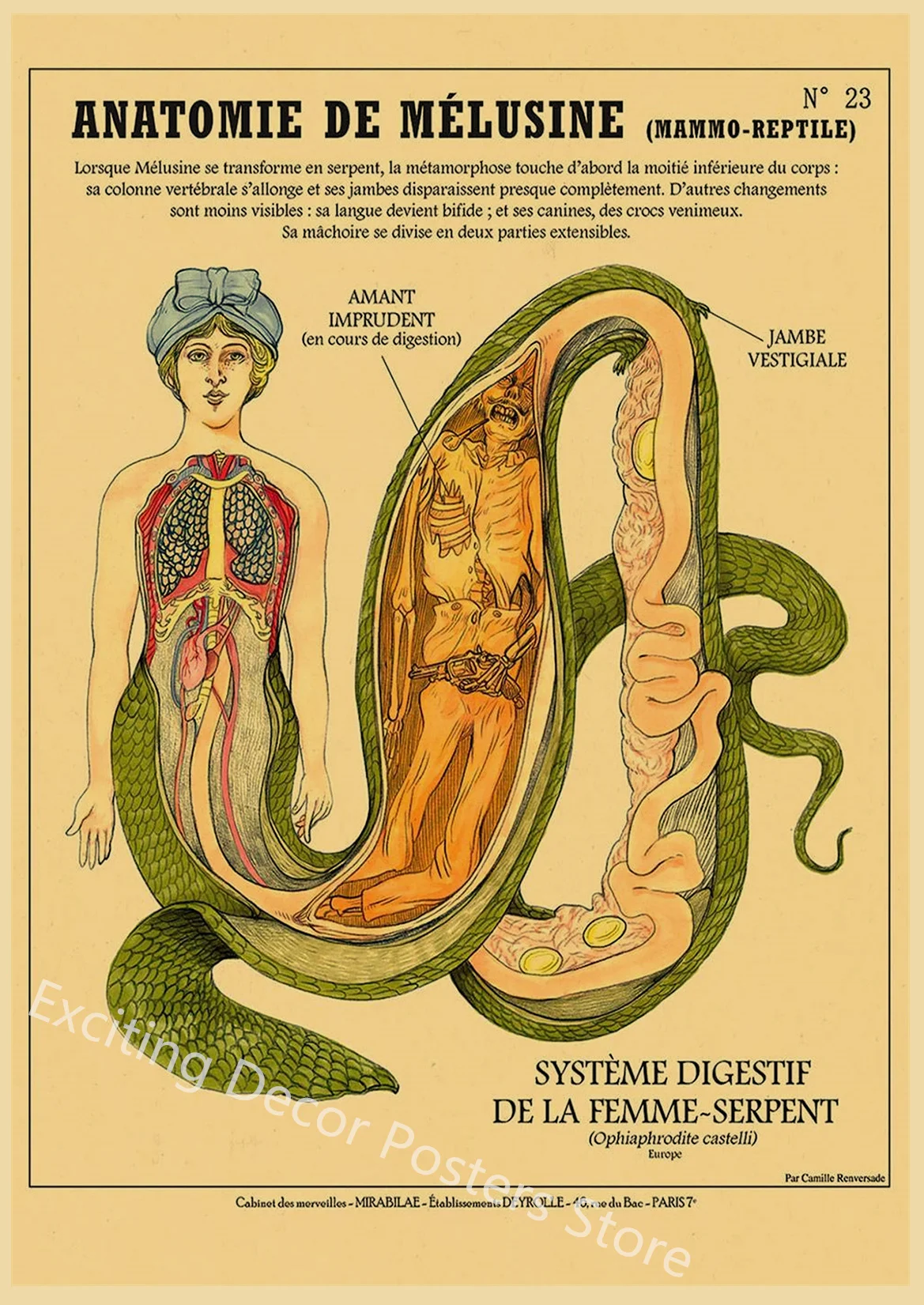 

Ретро постер "Любимые существа"