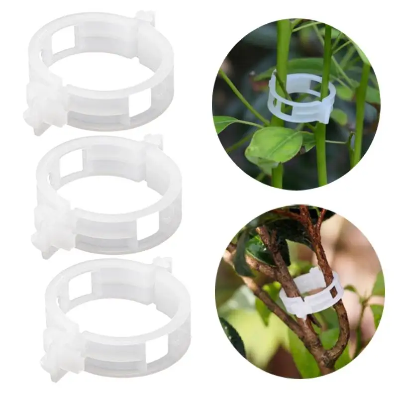 

50/100 шт., пластиковые инструменты для фиксации растений