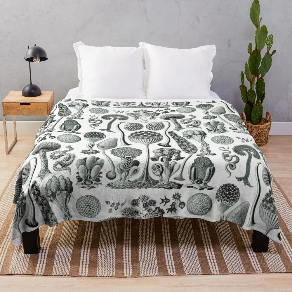 

Ernst Haeckel - Mycetozoa Throw Blanket Double Summer Blanket