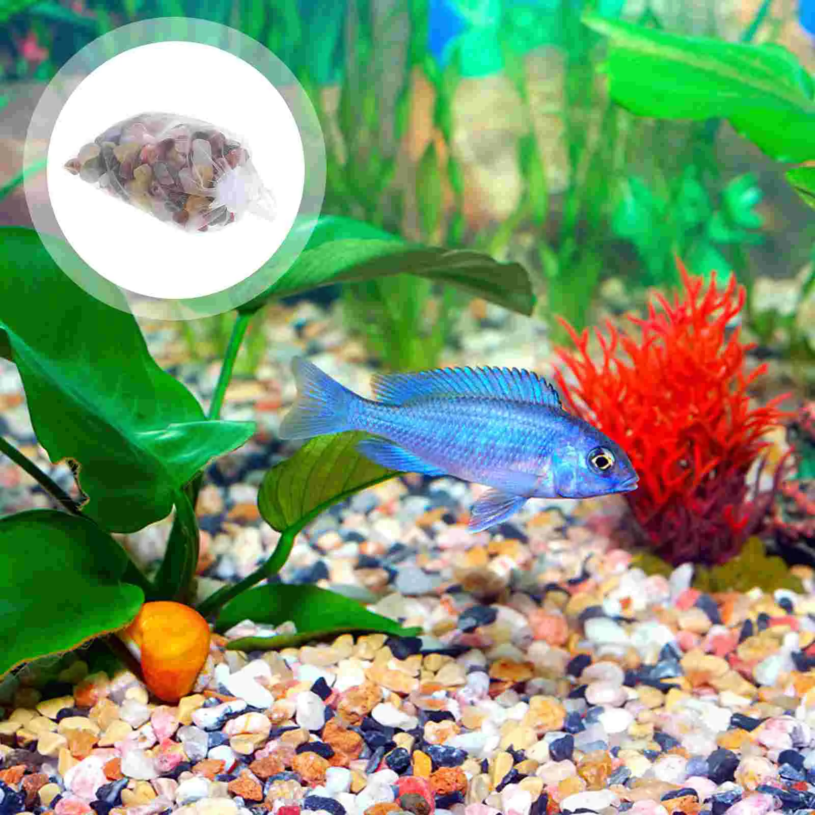 

Галька, камни, камни, гравий, аквариумы, река, фотоэлемент, наполнитель для аквариума, камни, стеклянное украшение, галька, Полированный Пляж