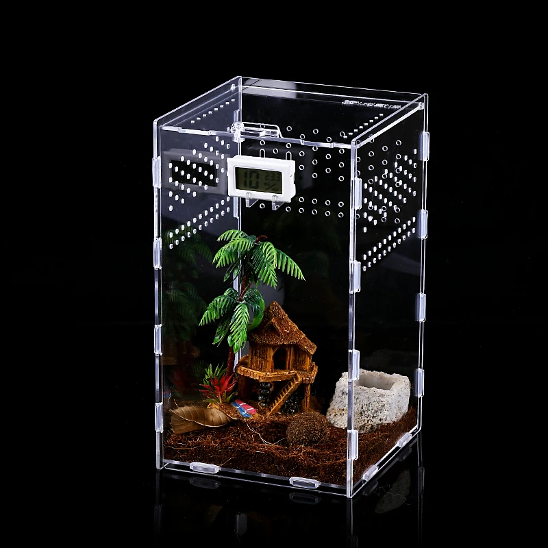 Animal and Plant Feeding Box Exhibition Reptile Habitat-Insect Acrylic Breeding Case |