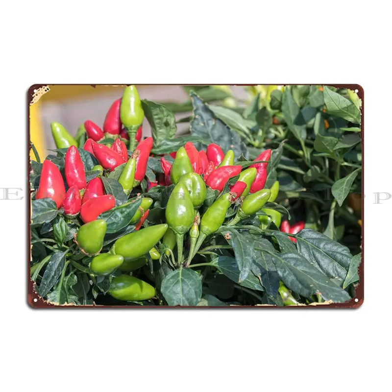 

Chili Pepper For Food Metal Signs Wall Cave Painting Cinema Printed Wall Cave Tin Sign Poster
