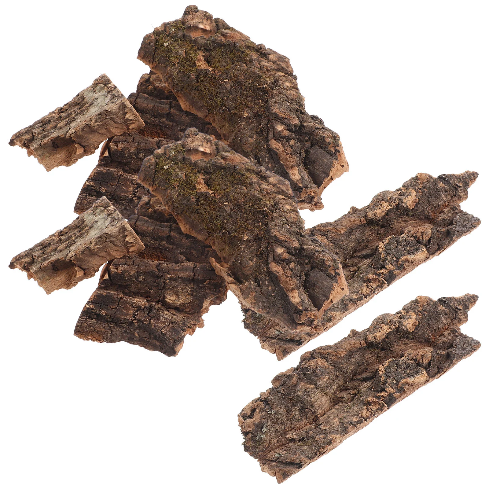 

1 Plants For Aquarium Reptile Terrarium For Bark Reptile Decor Reptile Bark Reptile Bedding for Decoration