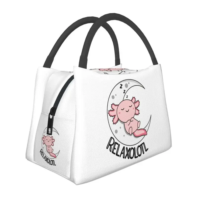 

Hand-held insulated refrigerated lunch bag is portable, stylish and simple, suitable for picnics