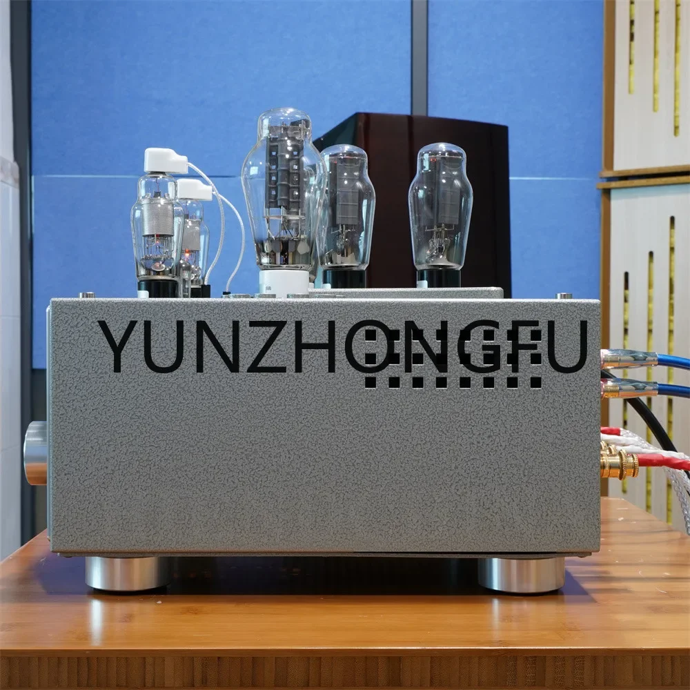 Рисунок 4 - 300B * 2 5U4G * 2 8W * 2 (110V/220V)