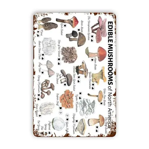 

Laquaudi, съедобные грибы, гид, грибы для влюбленных, подарок, Женская кухня, офис, Декор, папа, подарок, жестяные знаки, винтажные 8x12