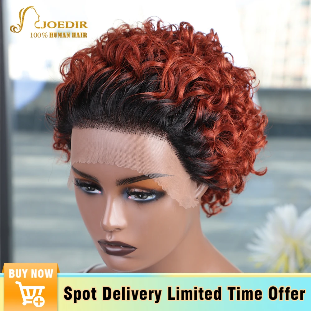 Ed Wig For Women Highlight Cheap Remy Hair Transparent Lace Wig