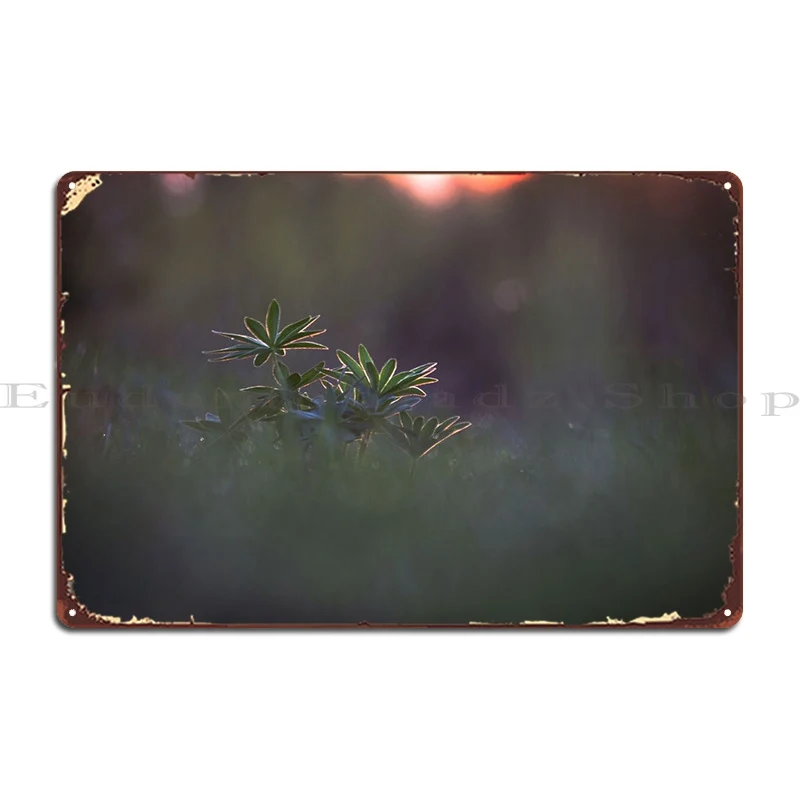 

Синяя природа Солнечный свет La металлический знак настенный Декор для дома на заказ Настенная роспись оловянный знак плакат