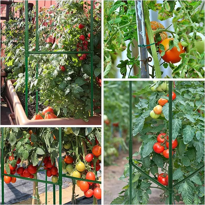 Climbing Plant Trellis Tomato Cages For Pots Vines Stands Plant Supports Vegetable Trellis Flower Vines Pot Stand For Garden