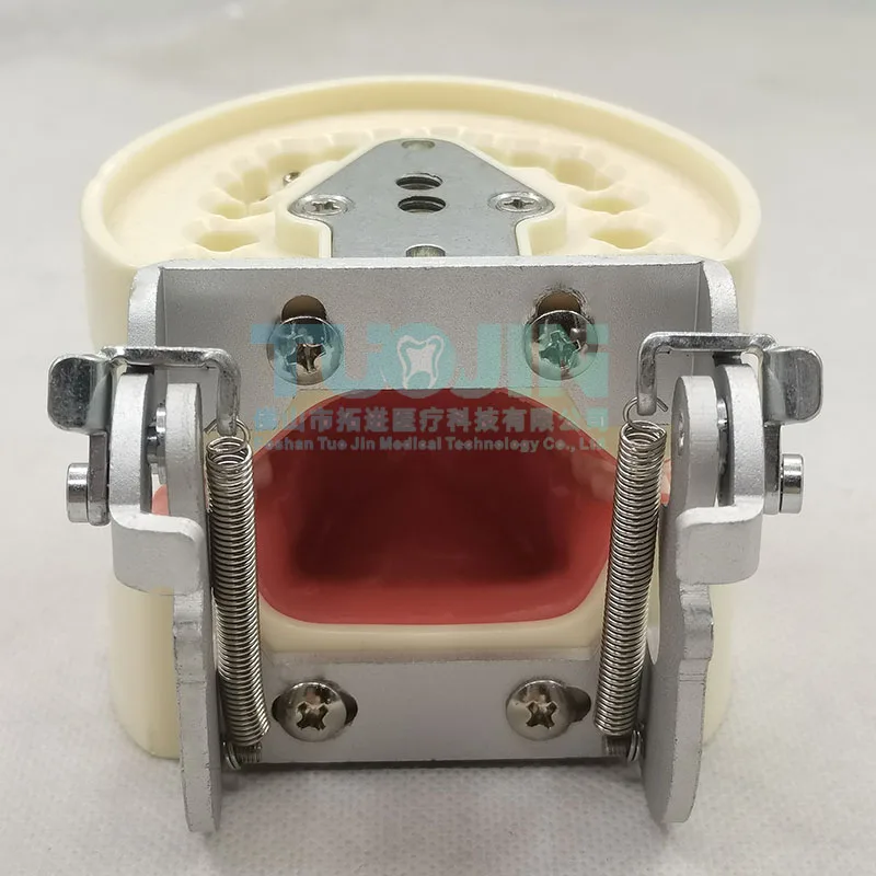 Зубная модель обучающая зубной резинки 32 шт. для обучения стоматологии