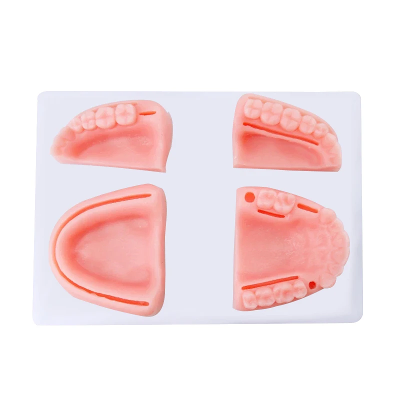 

Модель швов, модель стоматологической системы ротовой полости с моделированием зубов, инструменты для обучения швов ротовой полости