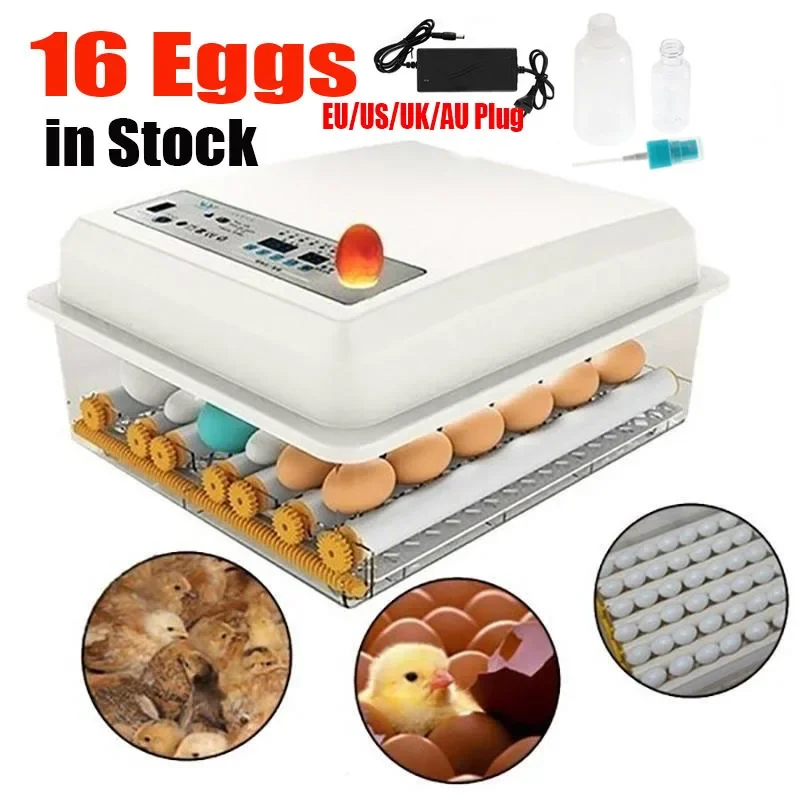 16-язычный брудер инкубатор для яиц полностью автоматический курицы гуся