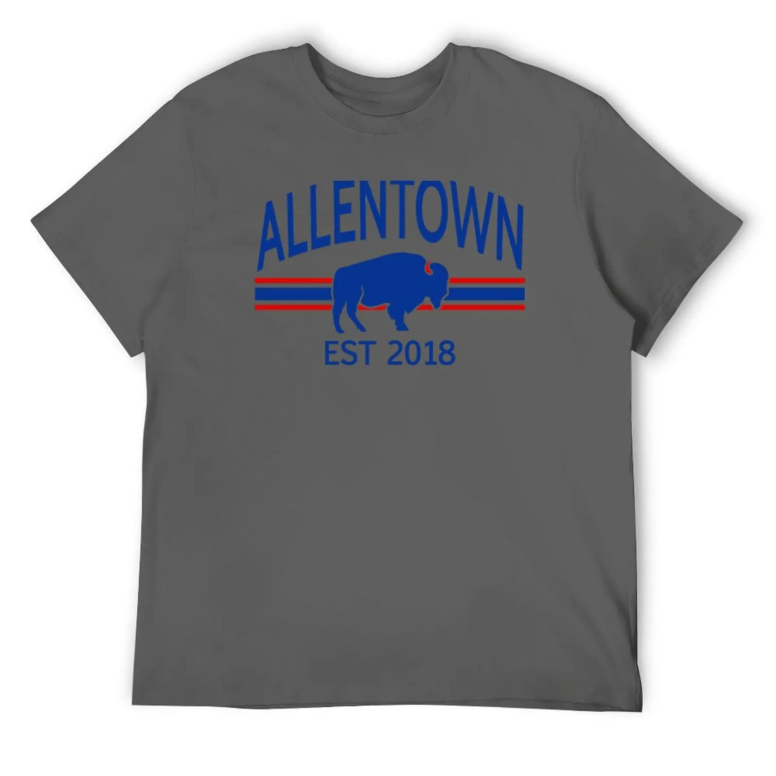 Allentown EST 2018 футболка с футбольным дизайном Buffalo эстетичная одежда для мужчин