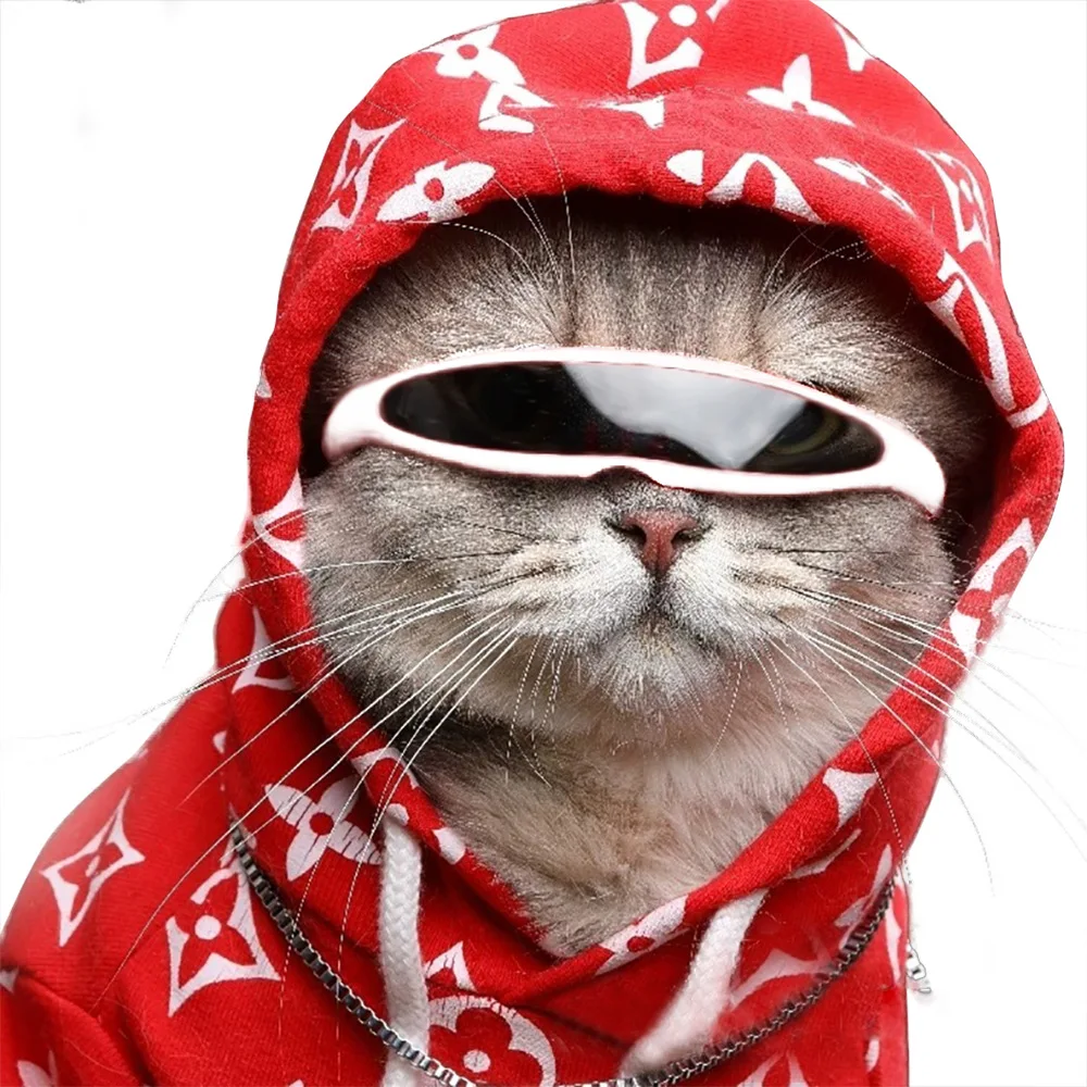

New Pet Glasses Windproof Sunglasses for Cat Dog Funny Cat Reflection Glasses for Small Dog Cat Pet Photos Props Cat Accessories