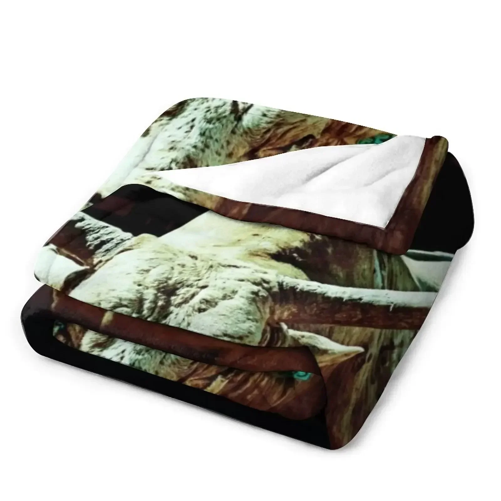 Новое одеяло BULL RIDERS RODEO YOUNG GUNS EXTREME SPORT Retros теплое зимнее мягкое