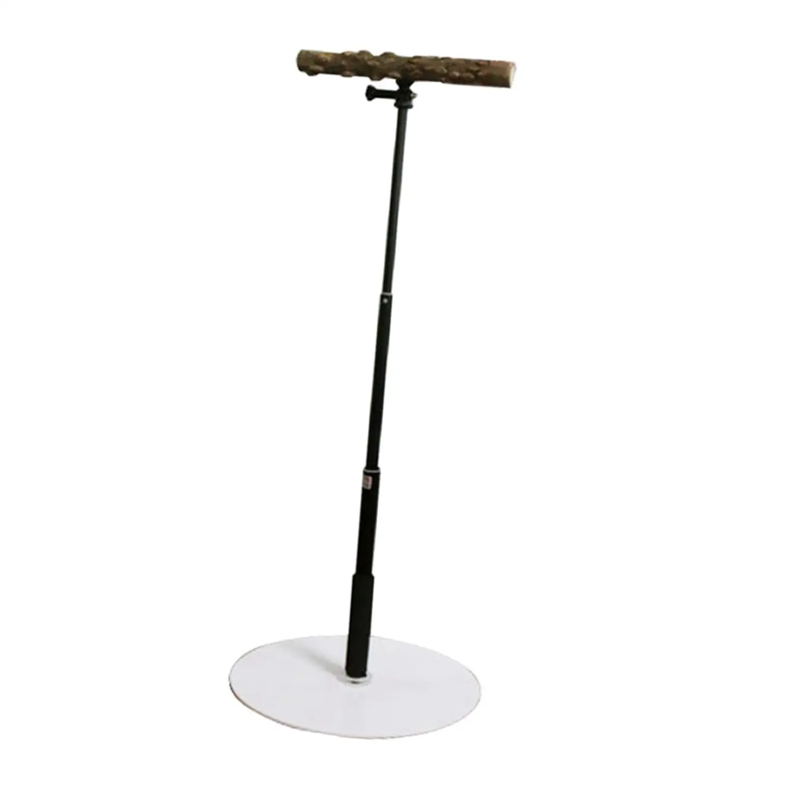 

Wooden T Stand Parrot Training Stable Bird Perch for Finch Conures Cockatiel