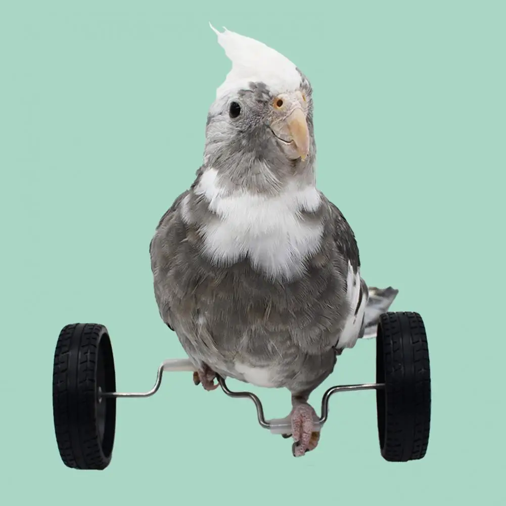 

Parrot Toy Pet Training Toy Mini Double Row Roller Skates for Parrots Enhance Bird Intelligence with Rotary Wheels Parrot Roller